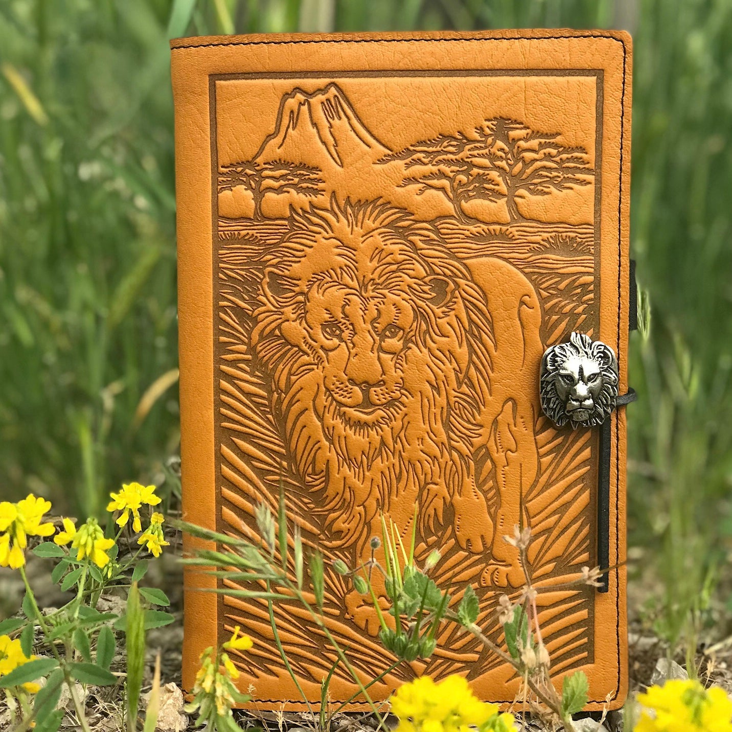 Lion | Oberon Design