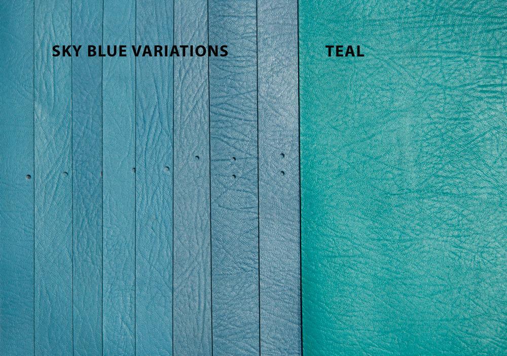 Sky Blue Leather Variations